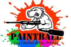 paintb
