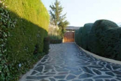 jardin-1
