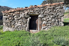 MajadaRostro30