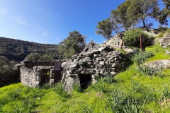 MajadaRostro36