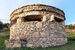Observatorio-aves38