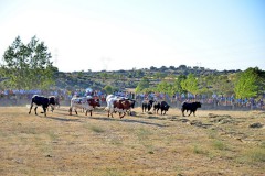 fiestas_2012_72_20130216_1601066117