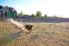 fiestas_2012_75_20130216_1164266092