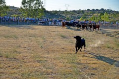 fiestas_2012_77_20130216_1380336343