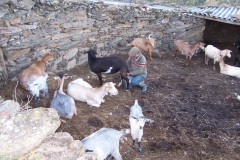 aldeadavila_29_20130209_1520048235